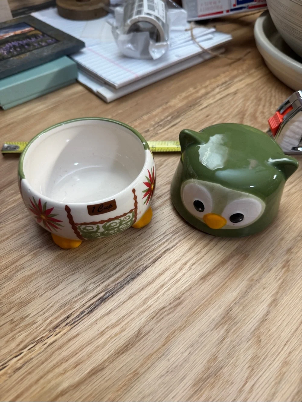 Temptations Green Owl Ceramic Kitchen Canister - 1 Cup